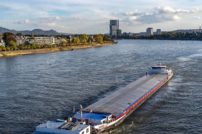 Cargo ship on the Rhine near Bonn, in the background the Post Tower, UN Campus, North Rhine-Westphalia, Germany, Europe
