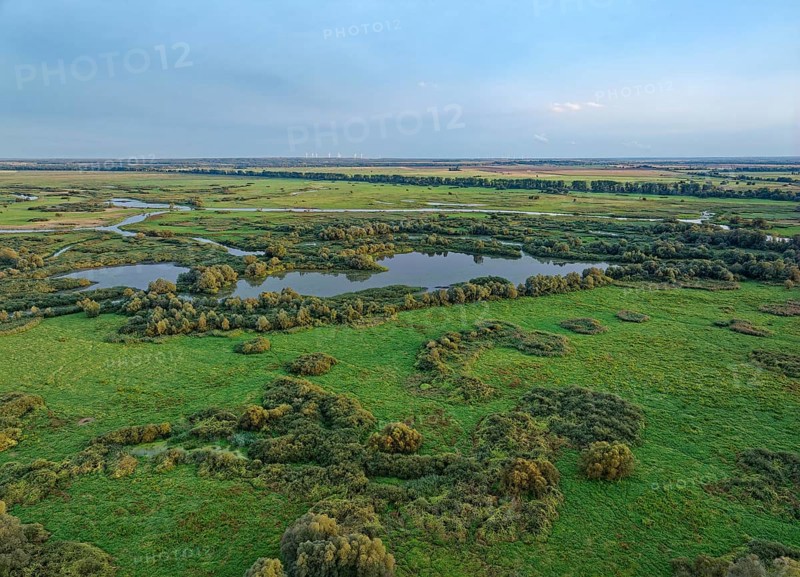 The Warta Estuary National Park, Park Narodowy Ujscie Warty, where the Warta flows into the Oder. The park consists mainly of meadows and pastureland, intersected by numerous old river courses and canals. Aerial view. Kostrzyn nad Odra, Lubuskie, Poland, Europe