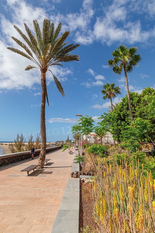 Promenade of Playa des Ingles, Gran Canaria, Canary Islands, Spain, Playa des Ingles, Gran Canaria, Canary Islands, Spain, Europe