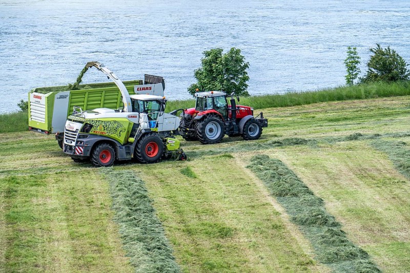Hay harvest, on a Rhine meadow near Duisburg-Beeckerwerth, a forage harvester picks up the cut grass, which was piled up in strips after cutting, and loads it into a silage wagon, cattle feed, North Rhine-Westphalia, Germany, Europe