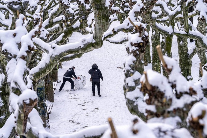 Winter in the city, southern Main promenade, 2 men forming a snow globe, one filming with a mobile phone, snow-covered trees, Frankfurt, Hesse, Germany, Europe