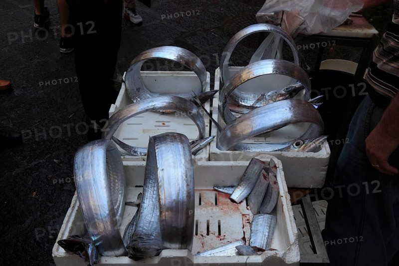 Silver scabbardfish at the historic Catania fish market, Catania, Sicily, Italy, Europe
