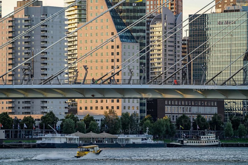 The Erasmus Bridge, over the Nieuwe Maas, building on the Boompjeskade, Rotterdam, Netherlands