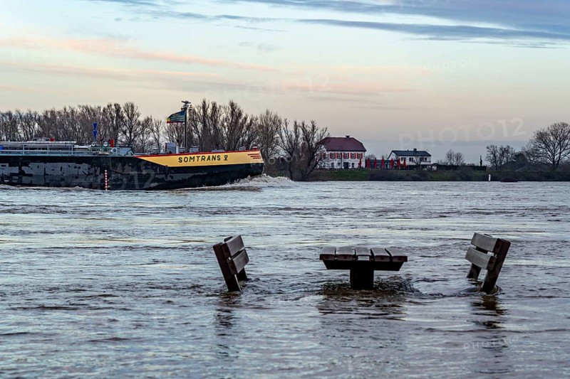 Flood on the Rhine, flooded banks of the Rhine, old ferry landing stage, Rhine meadows, near Xanten, Bislicher Insel, Lower Rhine, North Rhine-Westphalia, Germany, Europe