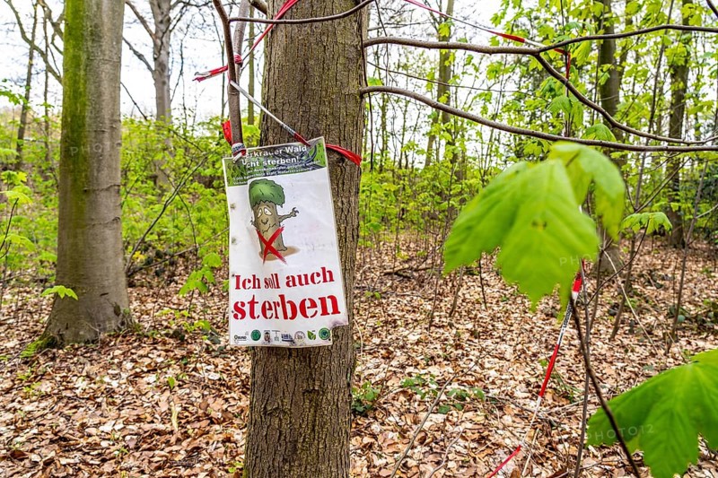 Protest posters, the Sterkrader Wald in Oberhausen, at the Oberhausen motorway junction, where the A2/A3A/A516 meet, it is to be expanded, 11 hectares of forest, around 5, 000 trees are to be felled for this, strong resistance to the plans has formed in the region, #Sterkibleibt, North Rhine-Westphalia, Germany, Europe