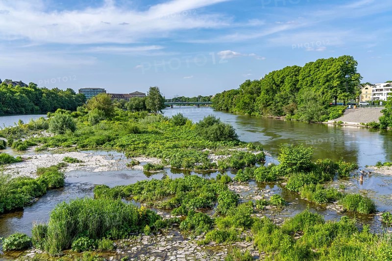 The Broicher Schlagd, a former mill weir in the Ruhr near Mülheim an der Ruhr, was once used to dam up the Ruhr to utilise the water power, today a kind of biotope in the middle of the river, North Rhine-Westphalia, Germany, Europe