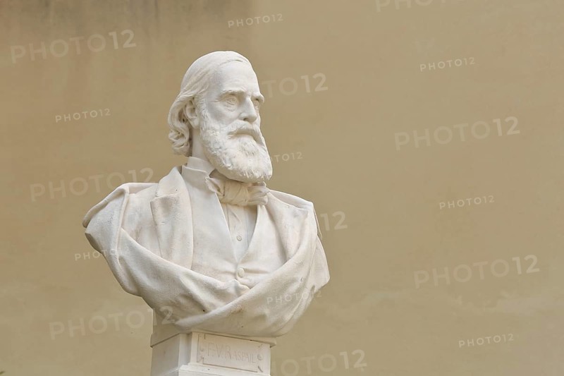 Monument with bust of François-Vincent Raspail, Francois, sculpture, Carpentras, Vaucluse, Provence, France, Europe