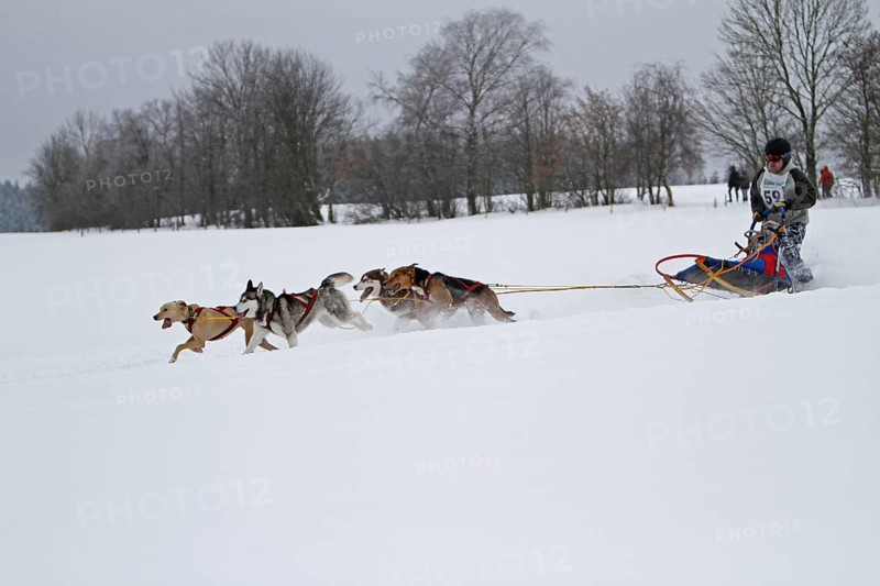 Sled dog race, Winterberg, Sauerland, North Rhine-Westphalia, Germany, snowy landscape, sled dogs, Europe