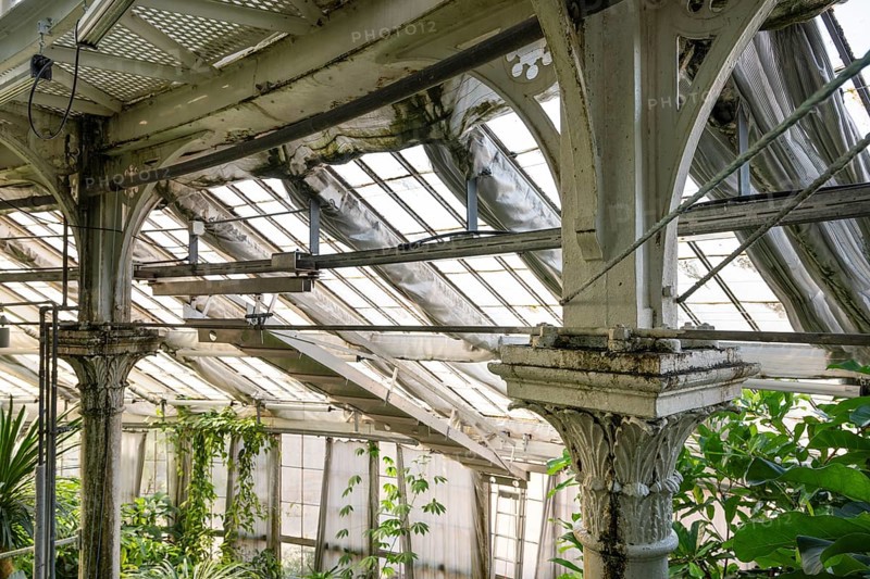 Cast-iron columns and glass roof, historic greenhouse, Palm House, Botanical Garden or Botanisk Have, University of Copenhagen, Denmark, Europe