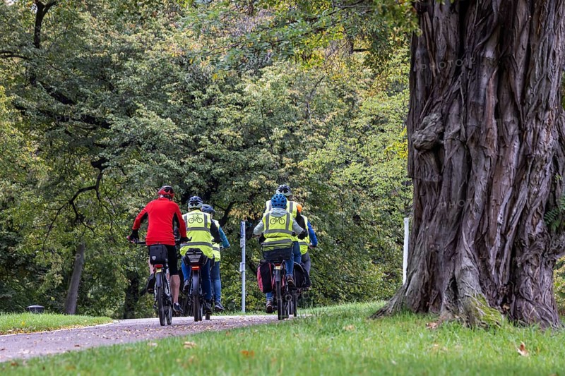 Cyclist on the road in Rosensteinpark, a park landscape in the centre of Stuttgart, Baden-Württemberg, Germany, Europe