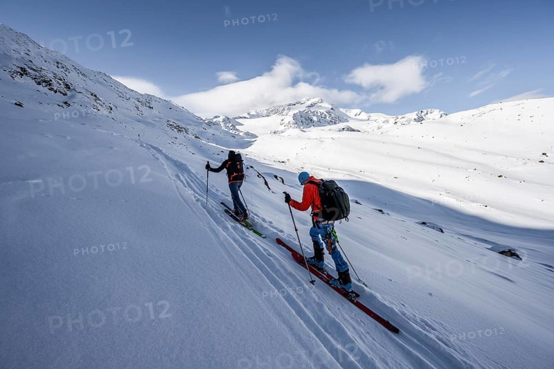 Two ski tourers ascending in fresh snow, snow-covered mountain peak Monte Cevedale in the background, wintry mountain landscape, Ortler Alps, Vinschgau Valley, Italy, Europe
