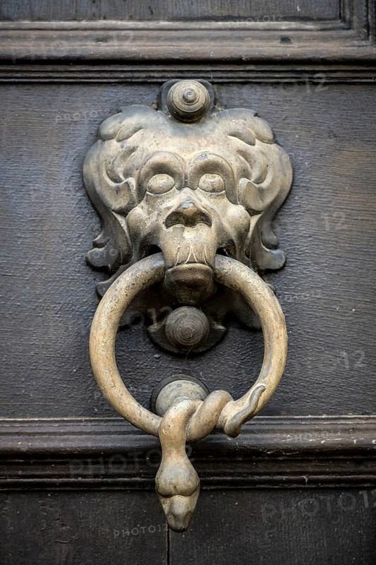 Lion's head, historical door knocker on a wooden door, Salem Castle, former imperial abbey, former monastery of the Cistercian order, Salem, Lake Constance, Lake Constance district, Baden-Württemberg, Germany, Europe