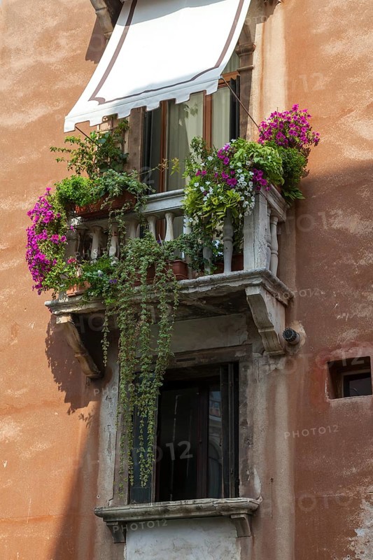 A Mediterranean balcony in an old town centre with flowering plants and ivy in the sunlight, Venice, Italy, Europe