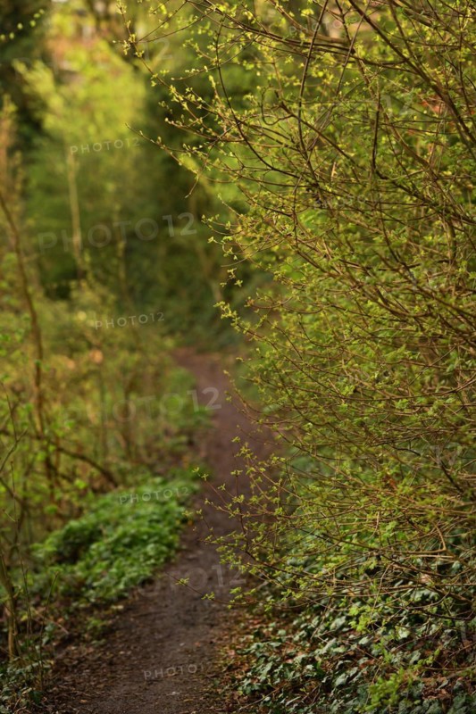 Iserlohn. This year's unusually warm weather in April has already given us a May. Nature exploded in a frenzy of colour. The unusually warm weather in April this year has already given us a May. Nature exploded in a riot of colours