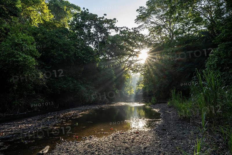 Atmospheric morning light with sun star and sun rays, at a stream in the tropical rainforest, Corcovado National Park, Osa Peninsula, Puntarena Province, Costa Rica, Central America