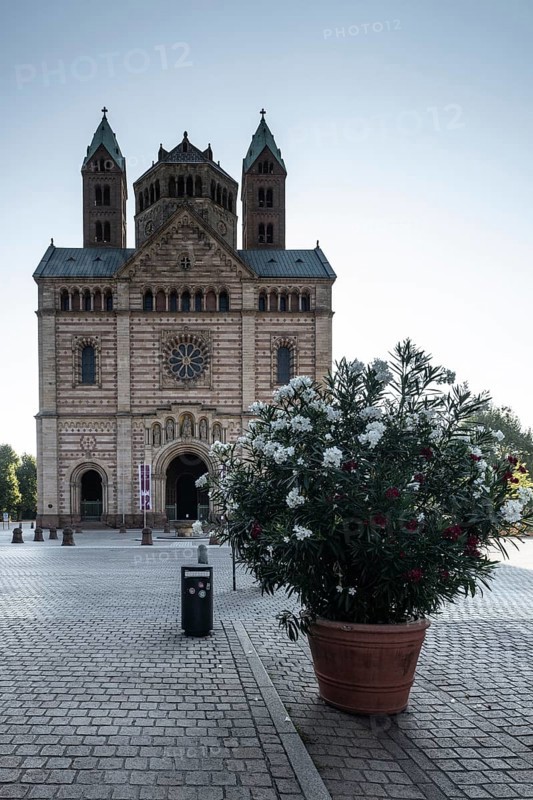 Speyer Cathedral, Rhineland-Palatinate, Germany, Europe