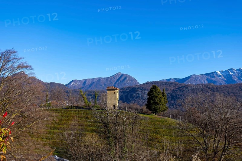 Vineyard in Collina d'oro with Mountain in Lugano, Ticino in Switzerland