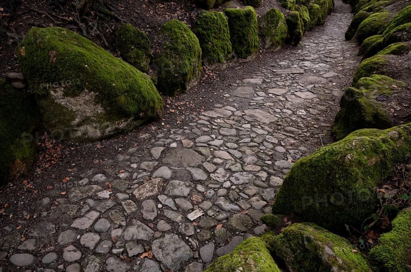 Hohle Gasse, artificial ravine between Immensee and Küssnacht am Rigi SZ, drama Wilhelm Tell by Friedrich Schiller, Canton Schwyz, Switzerland, Europe