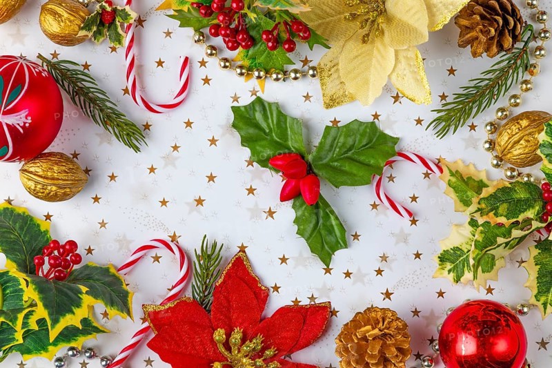 Christmas decorations, such as fir branches, baubles, nuts, poinsettia on a white background with golden stars, full-size