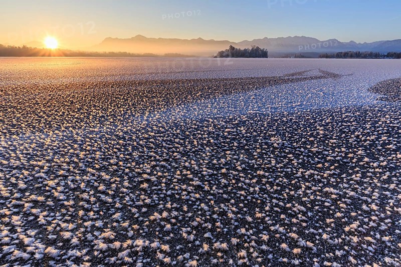 Ice roses, ice, frozen lake, sunrise, mood, winter, mountains, Staffelsee, Murnau, Alpine foothills, Bavaria, Germany, Europe
