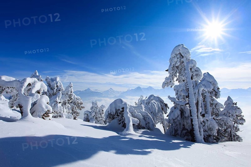 Bernese Alps, View from the Niederhorn, Bernese Oberland, Switzerland, Europe