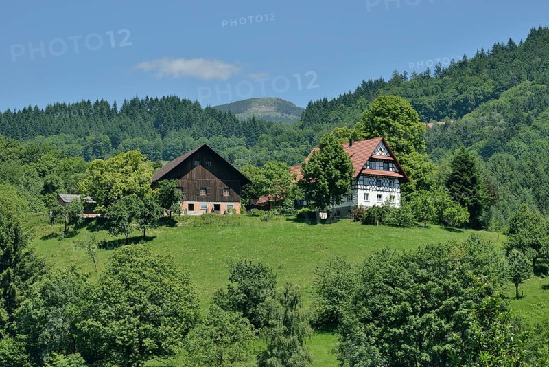 Old houses in the typical Black Forest architecture-style, half-timbered houses, Ottenhöfen im Schwarzwald, Black Forest, Baden-Württemberg, Germany, Europe