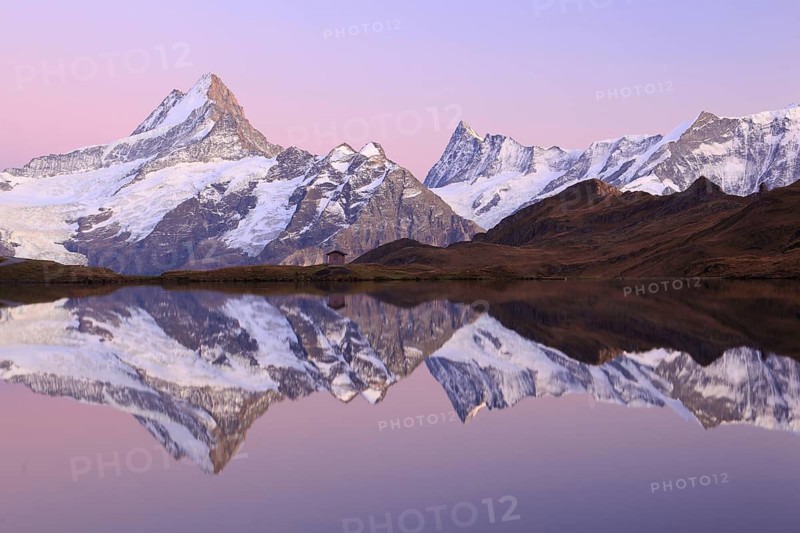 Bachalpsee, Schreckhorn, 4078 m, Finsteraarhorn, 4274 m, Bernese Oberland, Switzerland, Europe