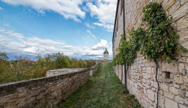 View of the Dicken Wilhelm, the last of three towers of Neuenburg Castle, Freyburg, Saxony-Anhalt, Germany, Europe