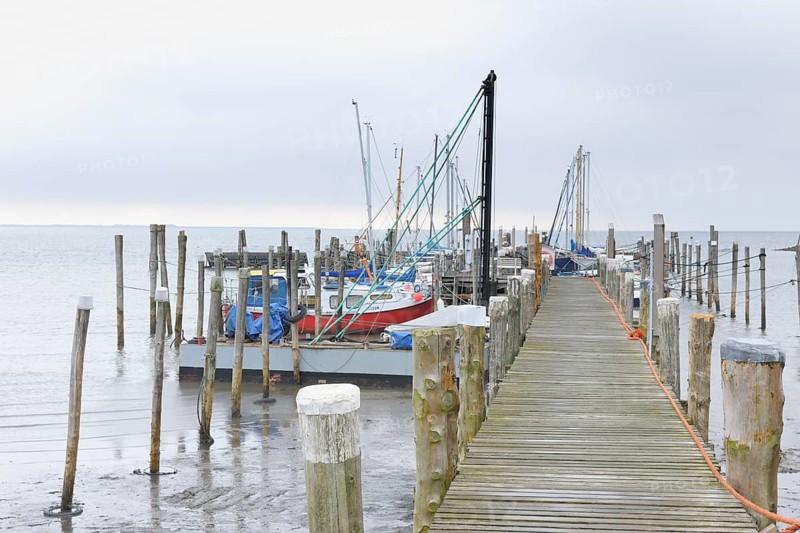 A wooden dock extends out into the water with fishing boats moored alongside under a misty, cloudy sky, creating a calm coastal atmosphere, Germany, Schleswig Holstein, Sylt, North Frisian Islands, Rantum, Europe