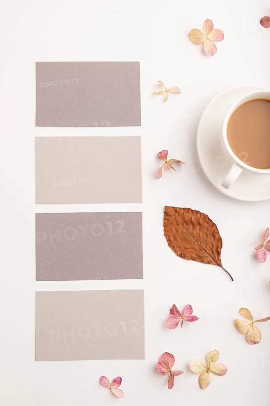 Composition with gray paper business card, brown beech autumn leaves, hydrangea flowers and cup of coffee. mockup on white background. Blank, flat lay, top view, still life, copy space