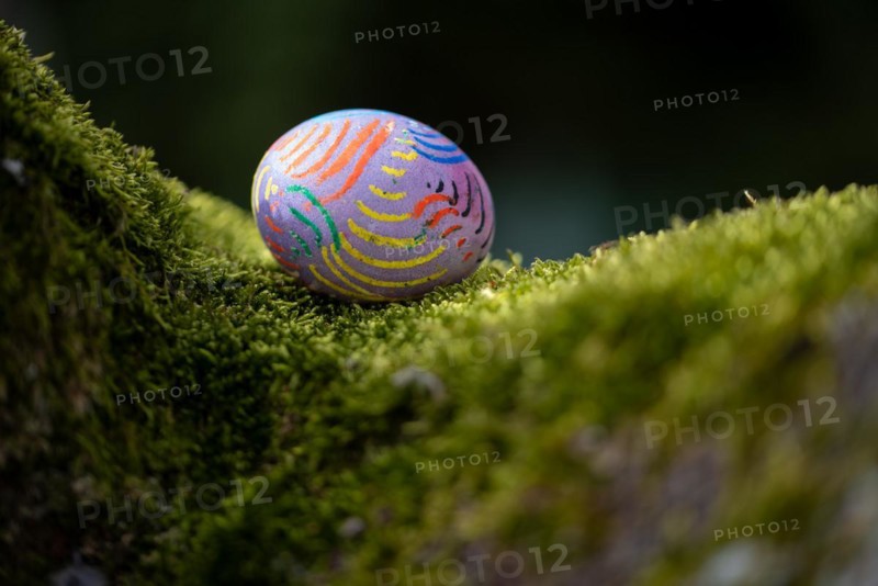 Painted colourful Easter egg lying on moss in a tree fork, Germany, Europe