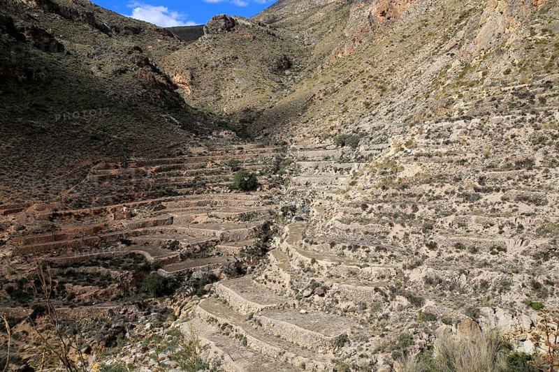 Hillside terraces countryside landscape, near Huebro, Ruta del Agua, Sierra Alhamilla mountains, Nijar, Almeria, Spain, Europe