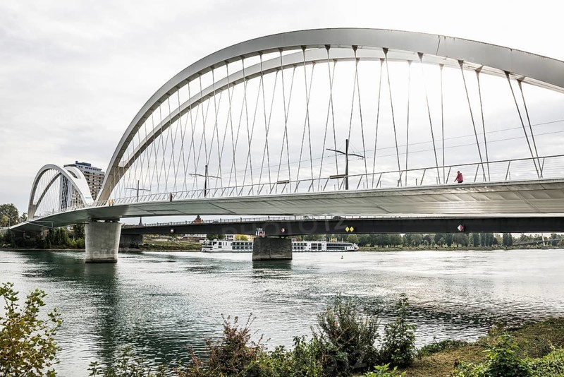 Bridge over the Rhine, cable-stayed bridge Passerelle des Deux Rives, Kehl, Ortenau, Baden-Württemberg, Germany, Europe