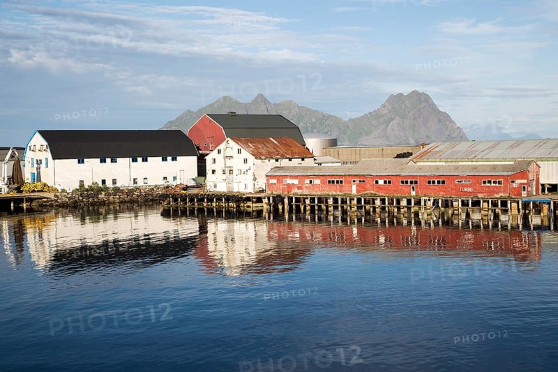 Fish processing buildings at Svolvaer, Lofoten Islands, Nordland, Norway, Europe