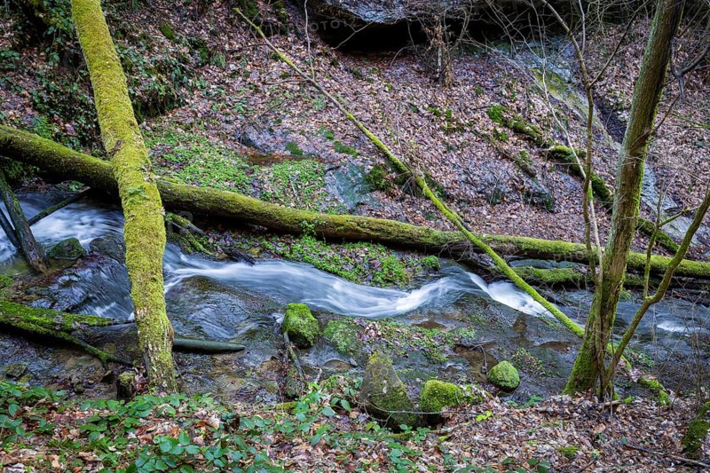 Polenztal in Saxon Switzerland, Hohnstein, Saxony, Germany, Europe