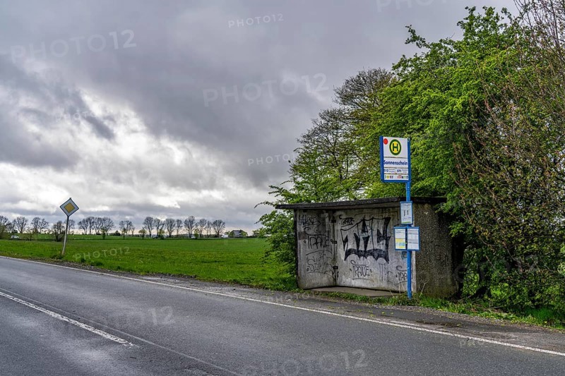 Bus shelter, bus stop, local transport in the countryside, near Breckerfeld, Sonnenschein stop, on the L528, Ennepe-Ruhr district, North Rhine-Westphalia, Germany, Europe