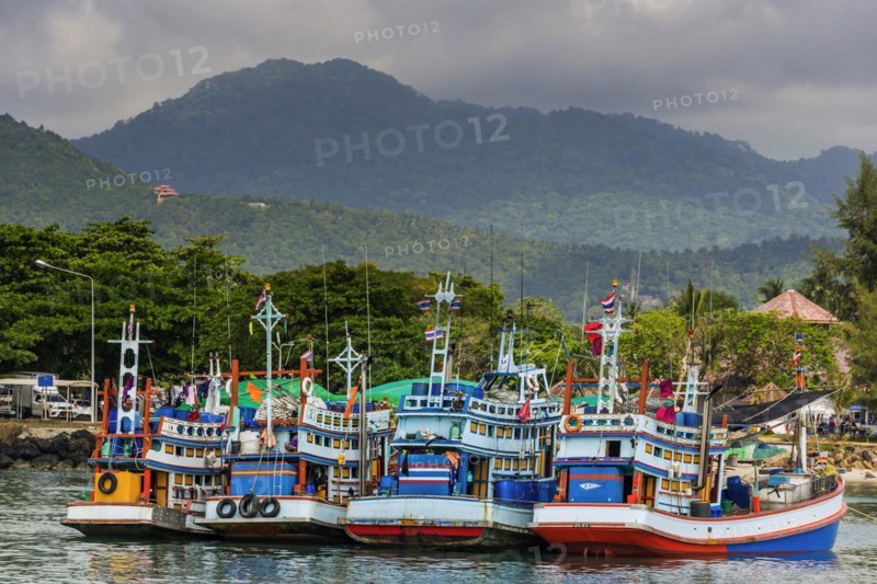 Colourful tourist boats for excursions, boat, ship, tourist boat, colourful, harbour, sea, seafaring, ocean, tradition, wooden boat, fishing, fishing cutter, painted, traditional, holiday, travel, tourism, water taxi, ferry, holiday island, Koh Tao, Thailand, Asia
