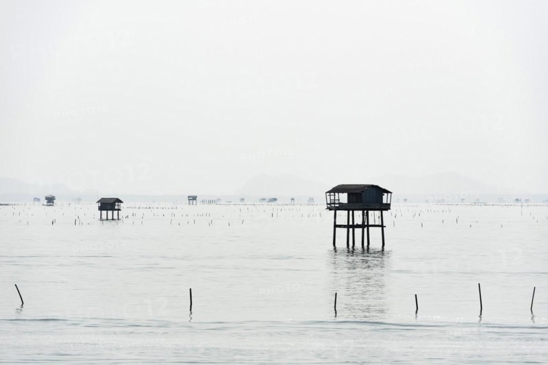 Traditional wooden huts of fishermen in the Gulf of Thailand in the morning haze, fisherman, fisherman's hut, wooden hut, landscape, southern Thailand, seascape, silhouette, nature, stilt hut, stilt buildings, tradition, traditional, fishing village, water, ocean, calm, work, romantic, monochrome house, accommodation, natural landscape, travel, holiday, coast, hazy, haze, foggy, mist, tropical, tropics, tourism, cloudy, weather, mood, grey, puristic, visibility, distance, far, Thailand, Asia