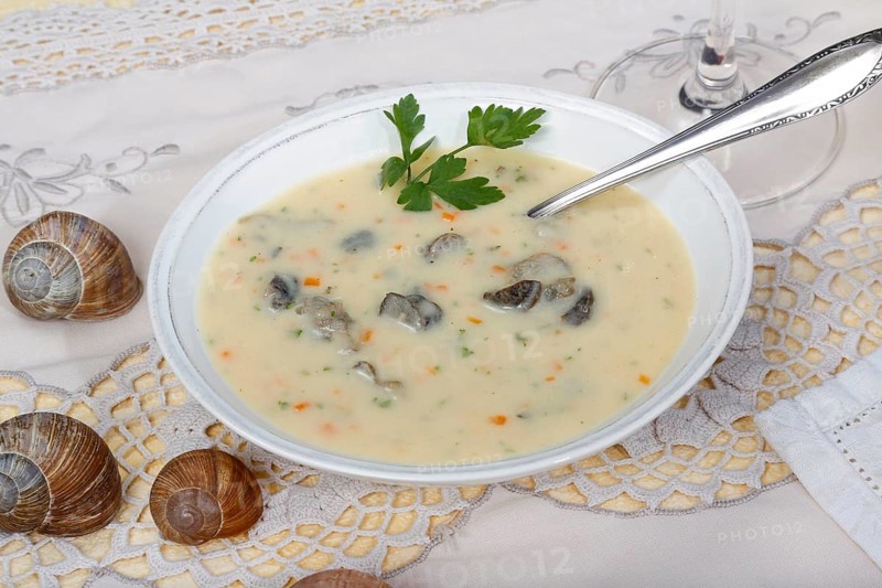 Baden cuisine, snail soup, typical Baden, vineyard snail shell, snail shells, parsley, spoon, soup bowl, traditional cuisine, speciality, food photography, studio, Germany, Europe