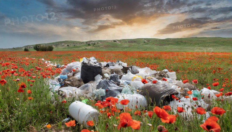 Symbolism, rubbish in the landscape, poppy field, AI-generated, AI-generated, AI generated