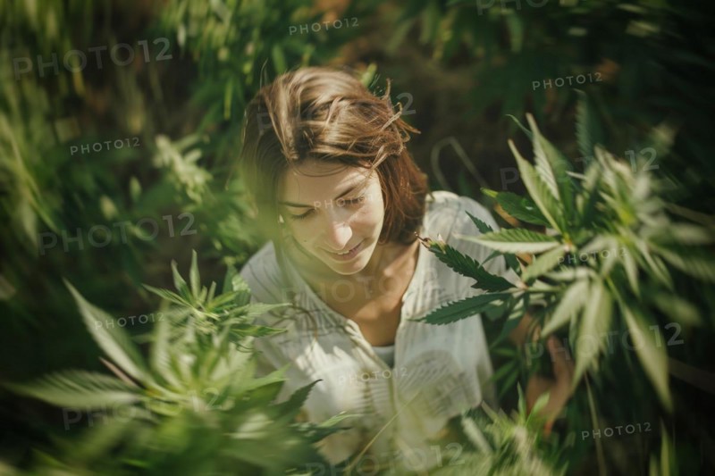 Teenager in an intoxicated state in a hemp field, surrounded by hemp leaves, cannabis, industrial hemp, symbolic image, health risk, drug use, illegal, legal, for medical, industrial purposes or food production, AI generated, AI generated, AI generated