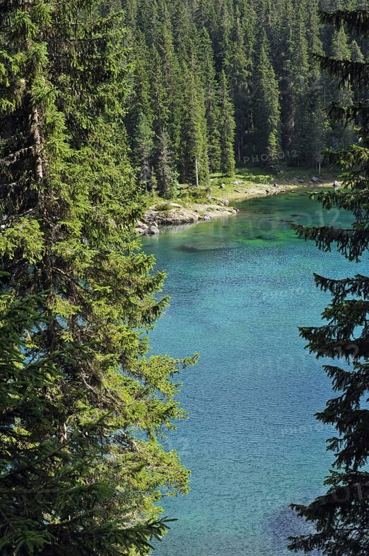 The lake Lago di Carezza, Karersee and pine forest in the Dolomites, Italy, Europe