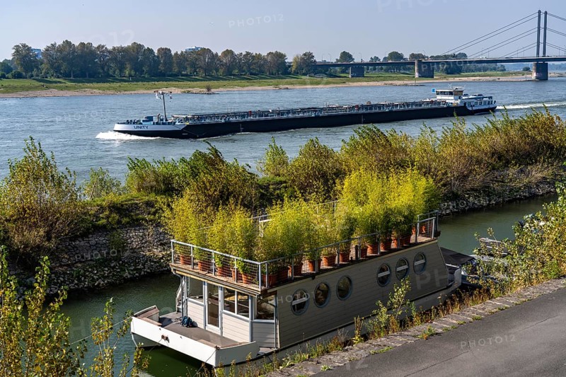 Houseboat with roof garden at the Rhine harbour on Robert-Lehr-Ufer, in Düsseldorf, in the background the Theodor-Heuss-Bridge, North Rhine-Westphalia, Germany, Europe