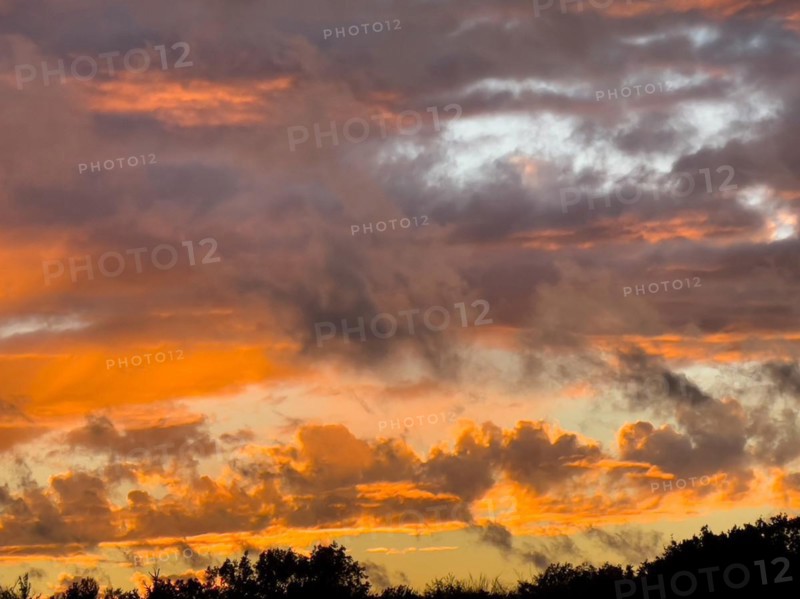Scattered cloud cover of orange reddish and grey clouds Altocumulus in front of bluish evening sky at dusk over treetops in the foreground, Germany, Europe