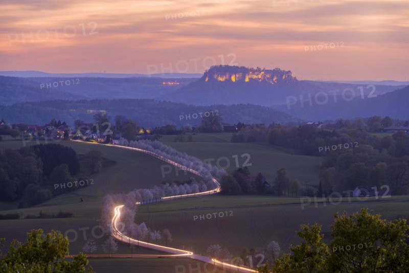 Spring in Saxon Switzerland, Altendorf, Saxony, Germany, Europe