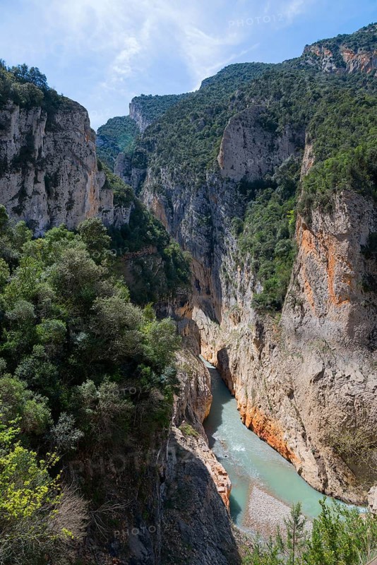 A river flows through a deep gorge with steep, wooded rock faces and green thickets, Congost de Mont-rebei gorge, Noguera Ribagorçana Mont-rebei Natural Park, Montsec mountain range, Noguera Ribagorçana river, Lleida province, Catalonia, Aragon, Spain, Europe