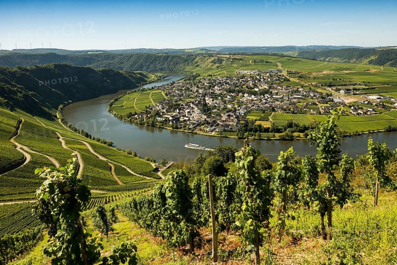 Picturesque village by the river and in the vineyards, Piesport, Moselle, Rhineland-Palatinate, Germany, Europe