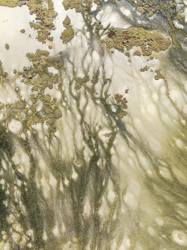 Marshland at low tide. Nature Reserve La Breña y Marismas del Barbate. Aerial view. Drone shot. Cádiz province, Andalusia, Spain, Europe