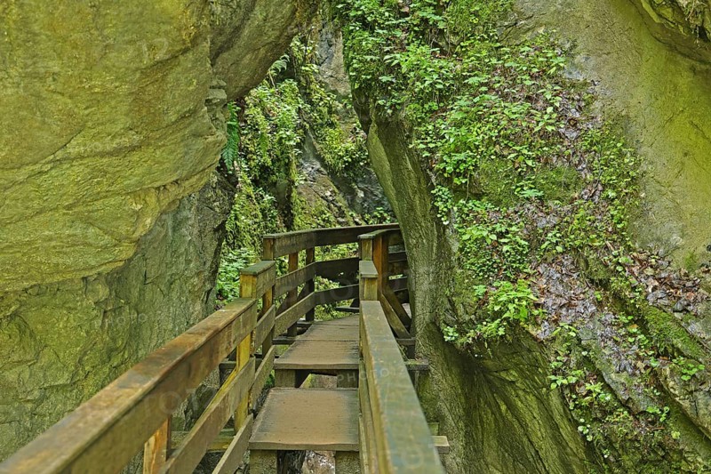 Seisenbergklamm gorge, natural monument, Pinzgau, Salzburger Land, Austria, Europe