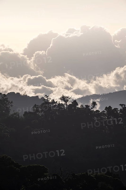 Clouds over cloud forest, mountain rainforest, Parque Nacional Los Quetzales, Costa Rica, Central America